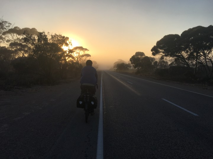 tmp_13861-morning-fog-278468842