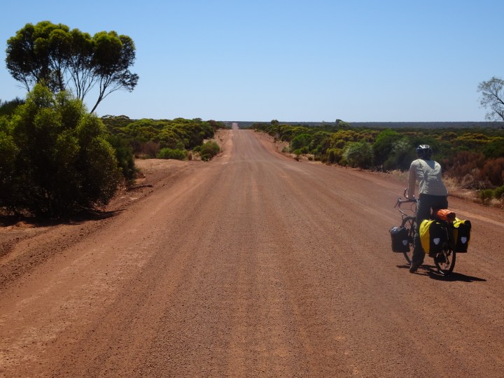 tmp_17468-mattie-straight-road447137661