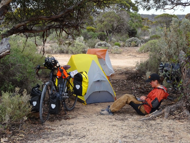 tmp_9403-mattie-blogging1546578921