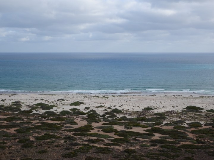 tmp_9403-southern-ocean1213174790