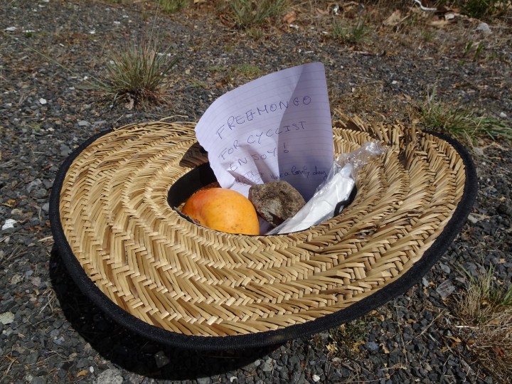 tmp_16100-mango-for-cyclists286064325