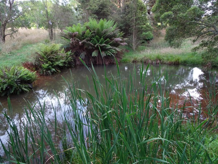 tmp_16100-robertson-campsite1152504905