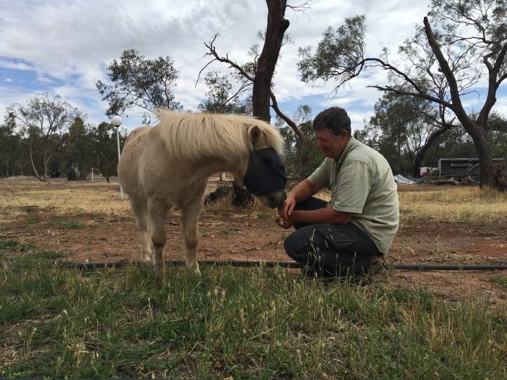 tmp_7368-sebastian282592748