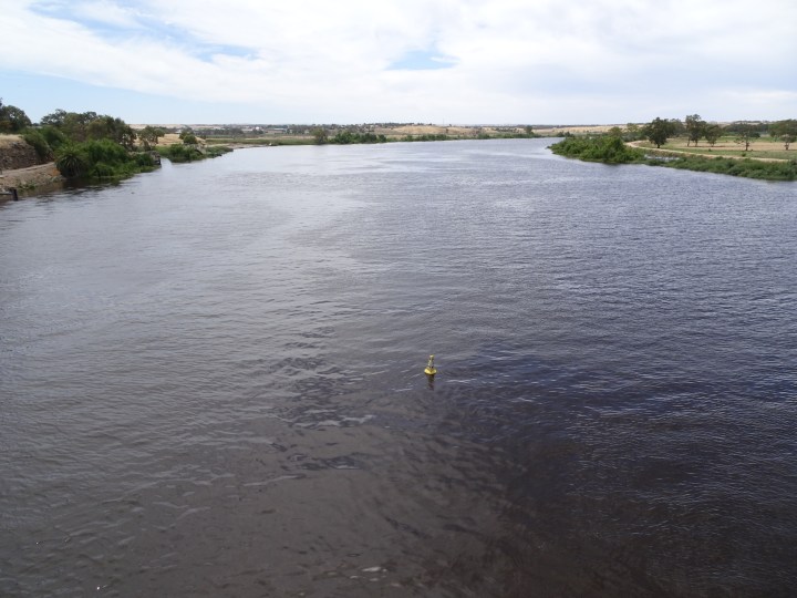 tmp_7832-murray-river115062291