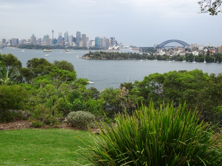 tmp_8215-sydney-from-taronga-zoo-2-272037335