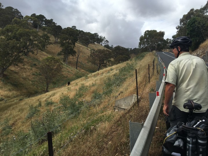 tmp_8800-one-tree-hill-road-749954165