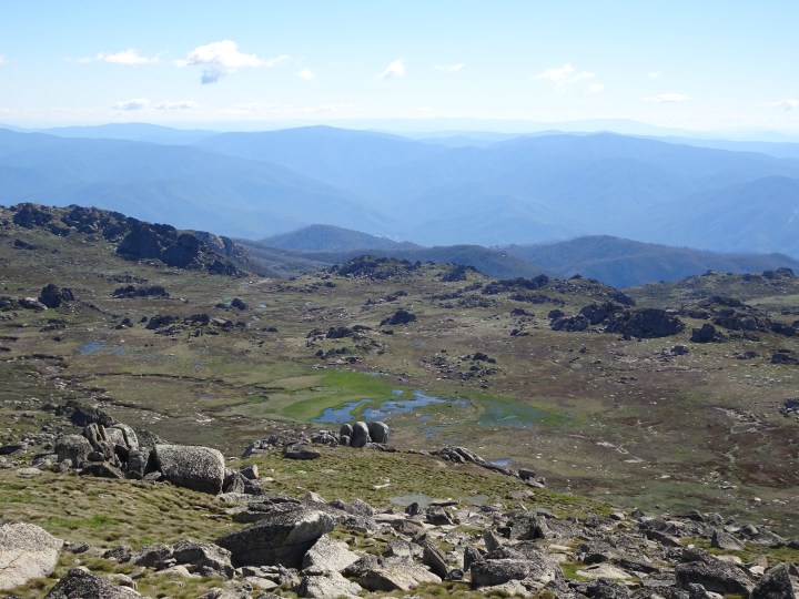 tmp_31983-mt-kosciuszko-summit-view2081287472