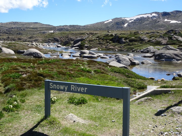 tmp_31983-snowy-river-headwaters984496643